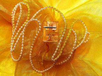 Elna Perlenaufnähfuß für Perlen 2 