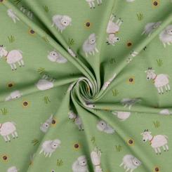 Baumwolljersey Schafe grün 