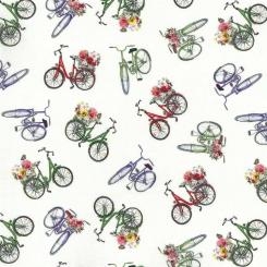 Münster Fahrrad mint bunt 